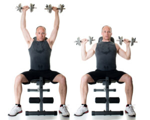 Vertical Push: Fundamental Technique, Variations, Cueing, and Modifications 5 Shoulder Press