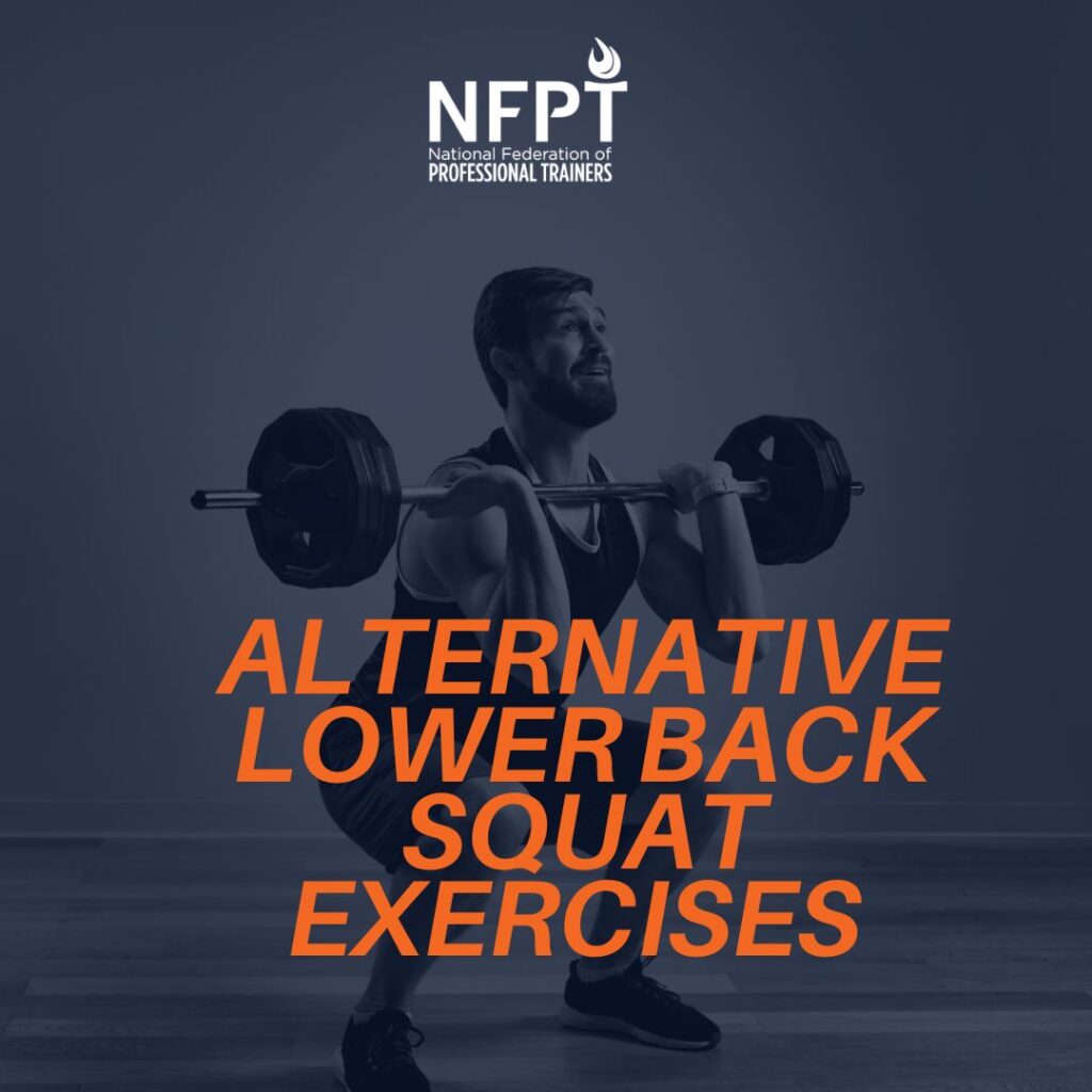 Alternative Lower Back Squat Exercises to Try: Give the Low Back a Break 5 squat alternative exercises