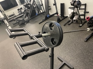 Enhance Landmine Training 2 Viking