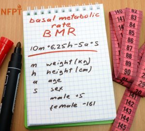 bmr based on body fat