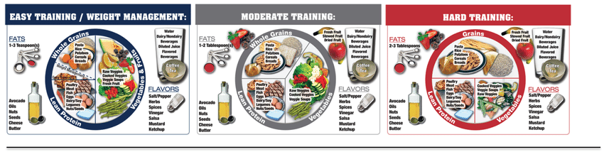 The Athletes Plate Nutrition Education Tool