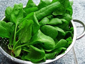 bowl of spinach