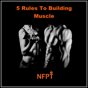 Building Muscle