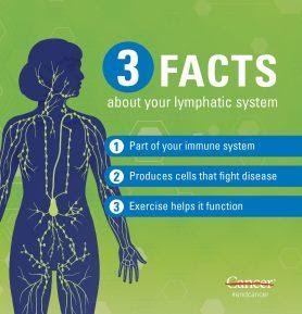 Lymphatic8