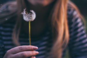 blowing a dandelion