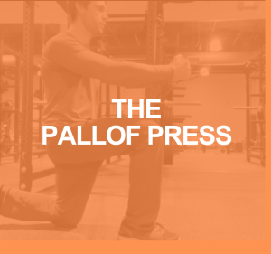 Pallof Press