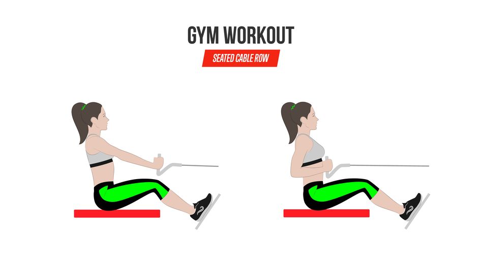 Seated Cable Row. Sport Exercises. Exercises In A Gym. Workout. Illustration Of An Active Lifestyle Vector